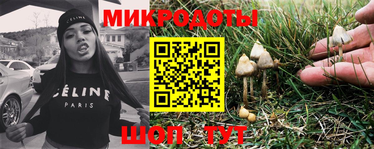 Псилоцибиновые грибы Psilocybine cubensis Прохладный