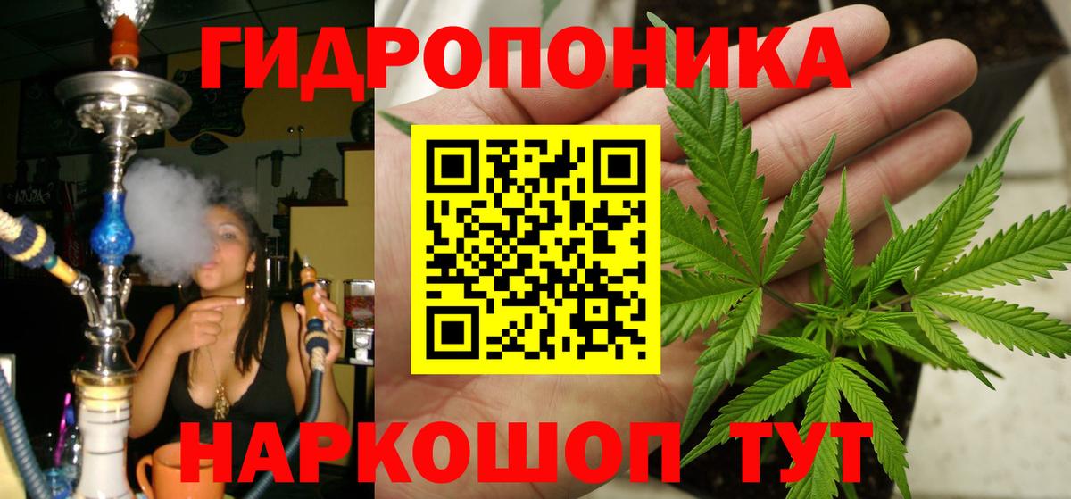 Конопля семена Прохладный